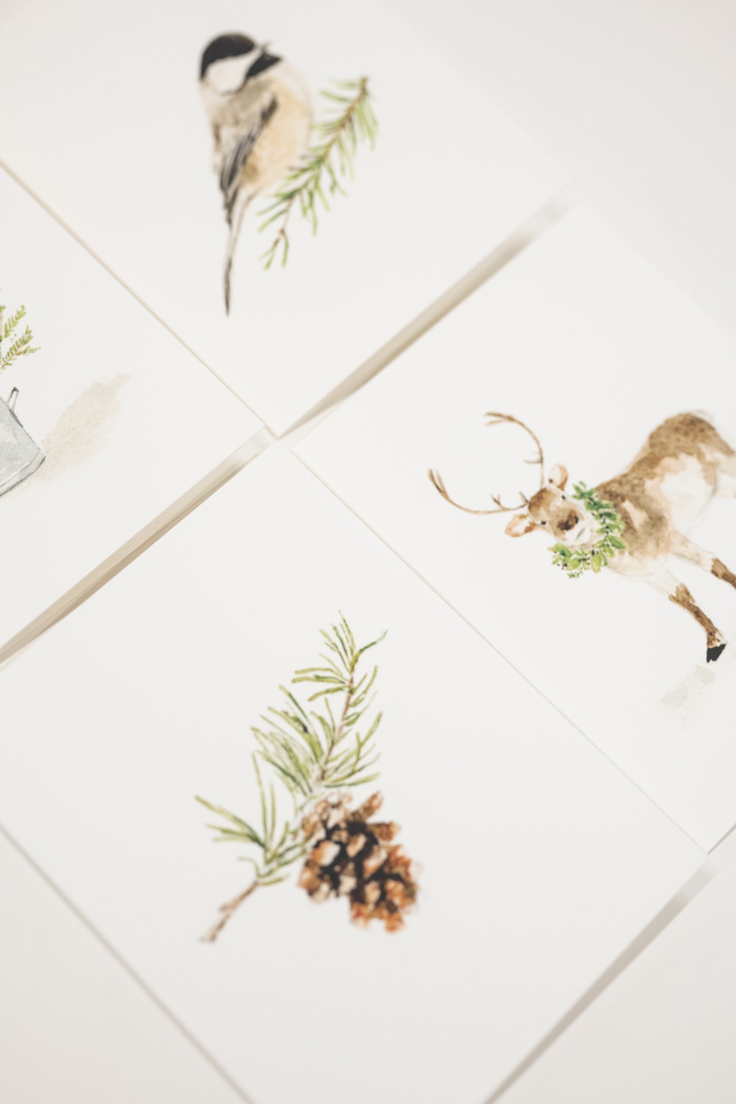 Evergreen Holiday Notecard Set