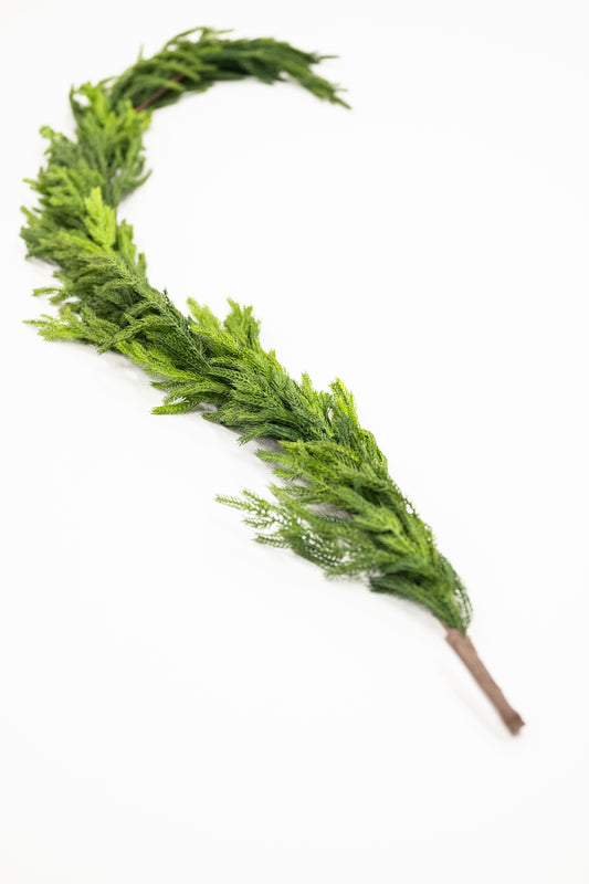 Norfolk Garland 5'