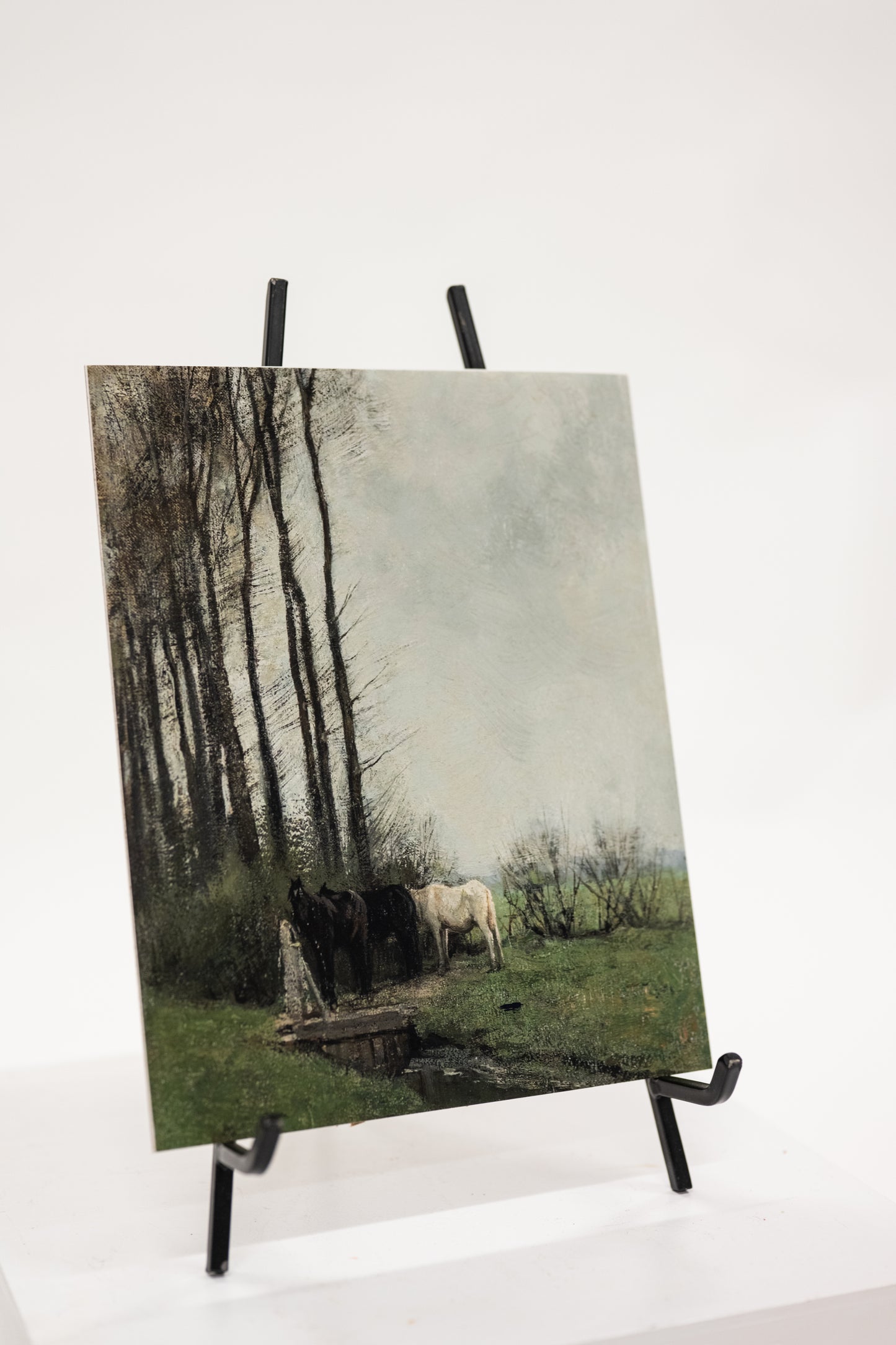 Animal Vintage Art Print