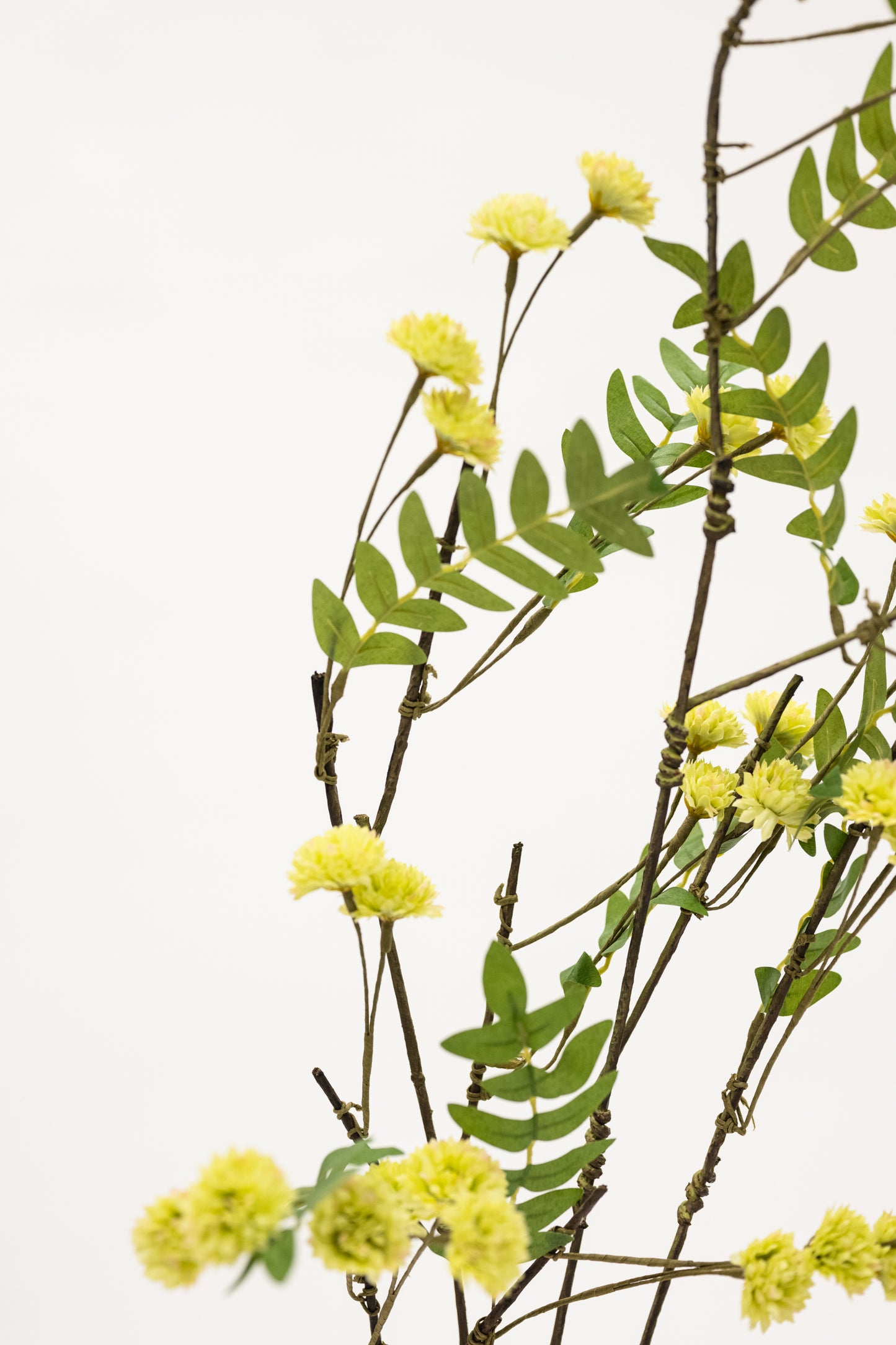 Yellow Globe Bud Twig