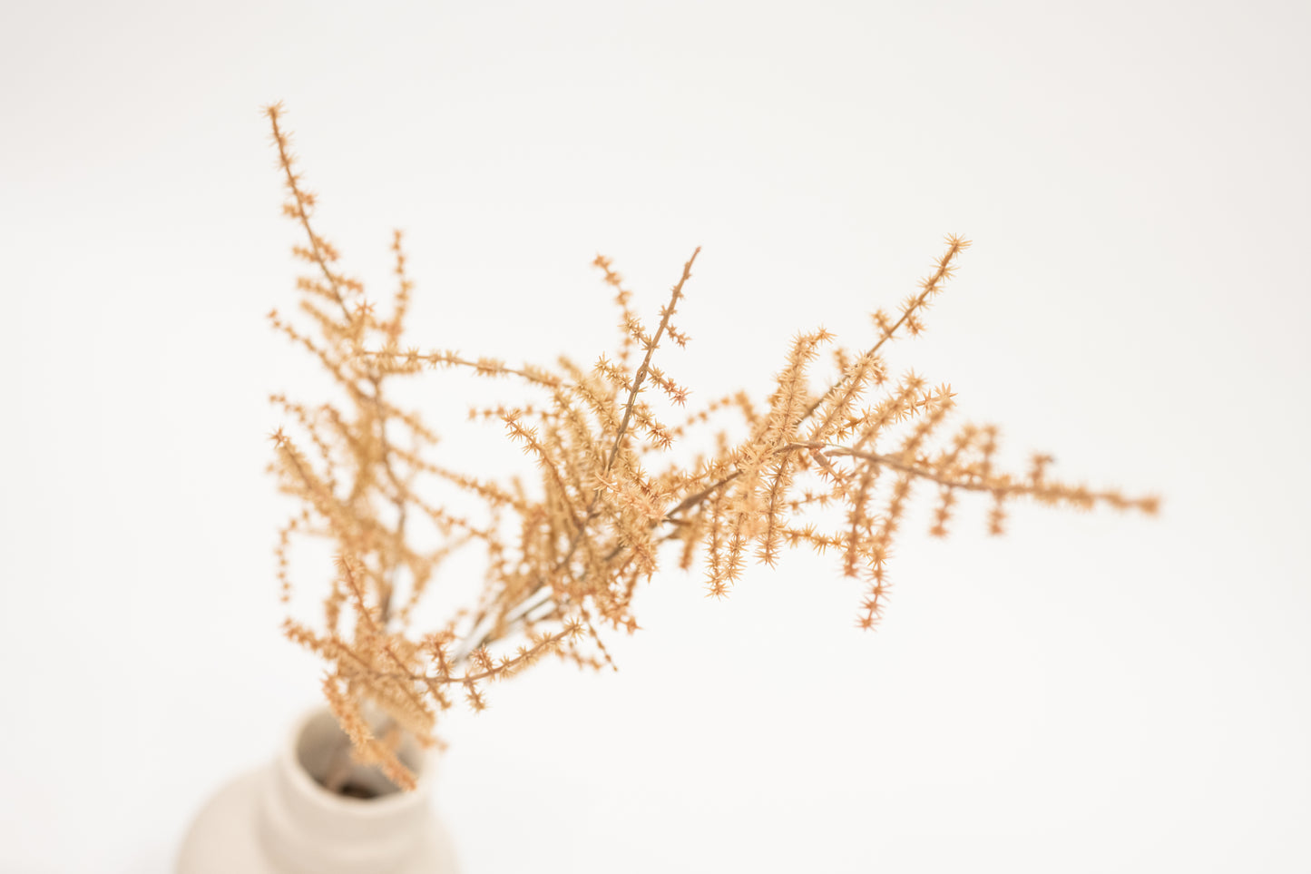 Desert Brown Asparagus Fern Faux Stem