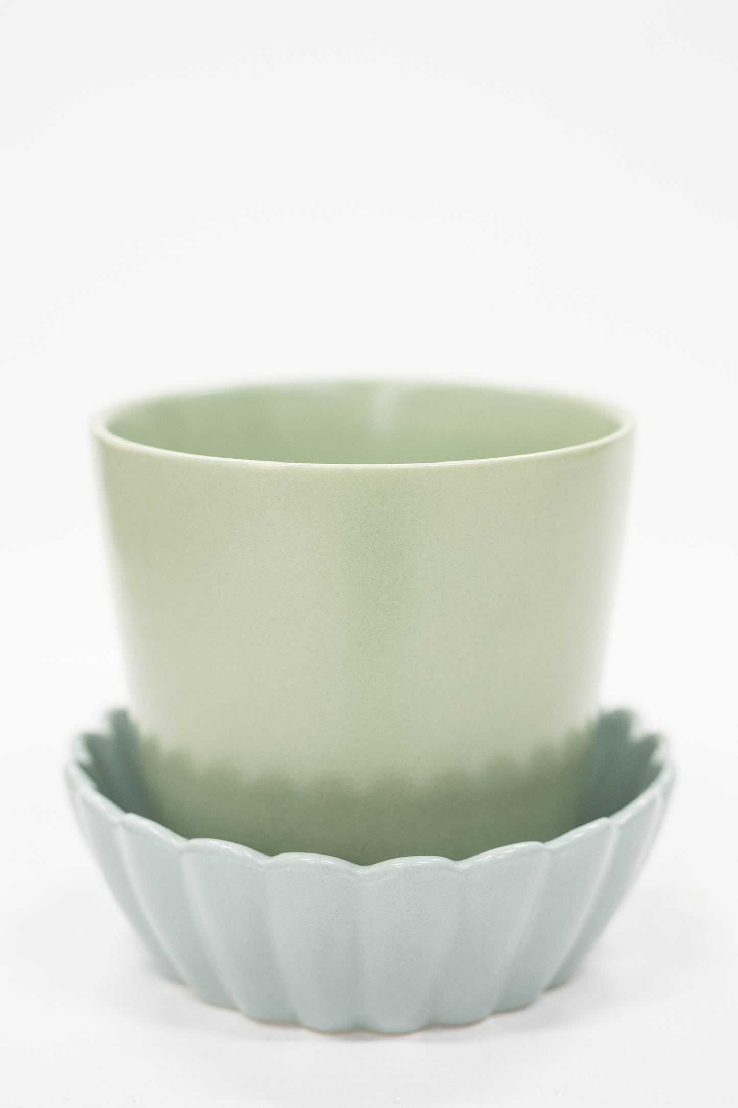 Mint Green Scalloped Pot