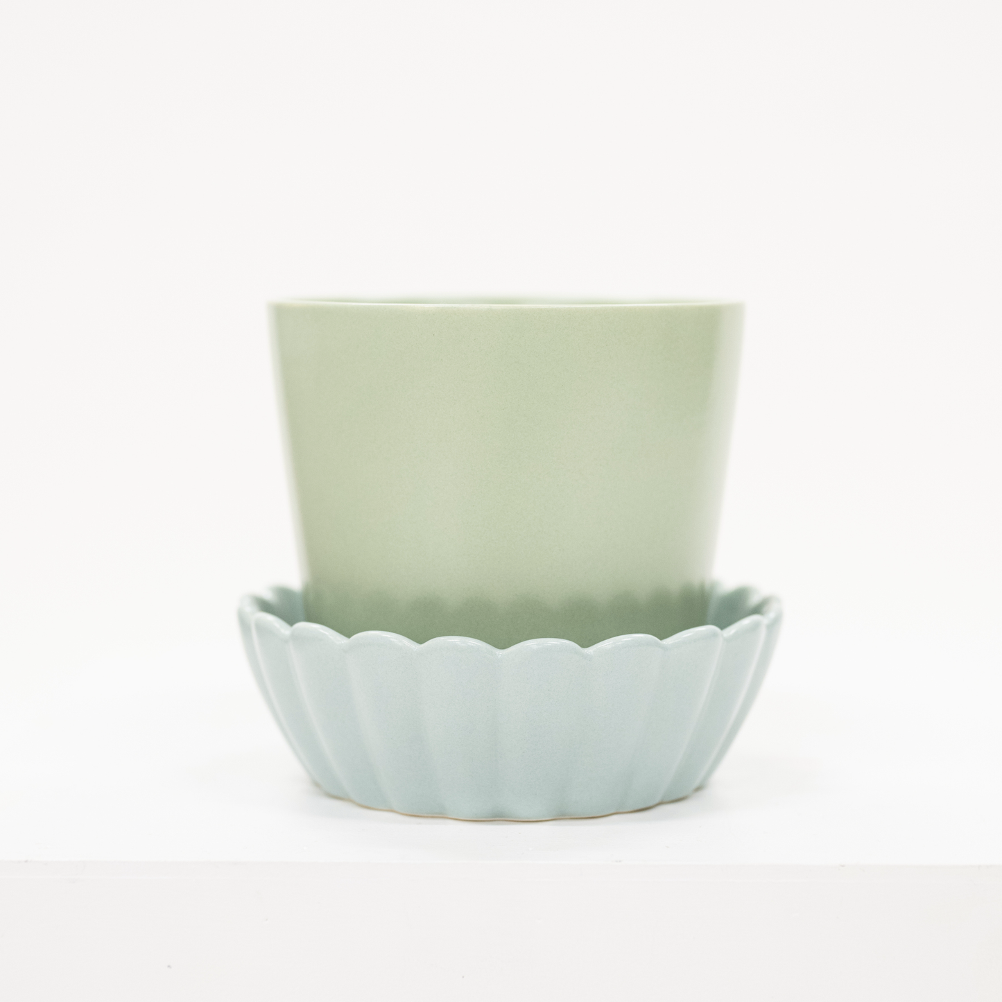 two toned green planter with scalloped saucer