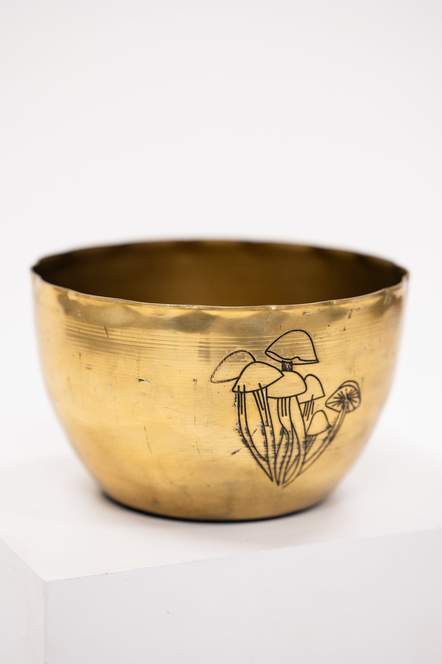Mushroom Etched Brass Bowl