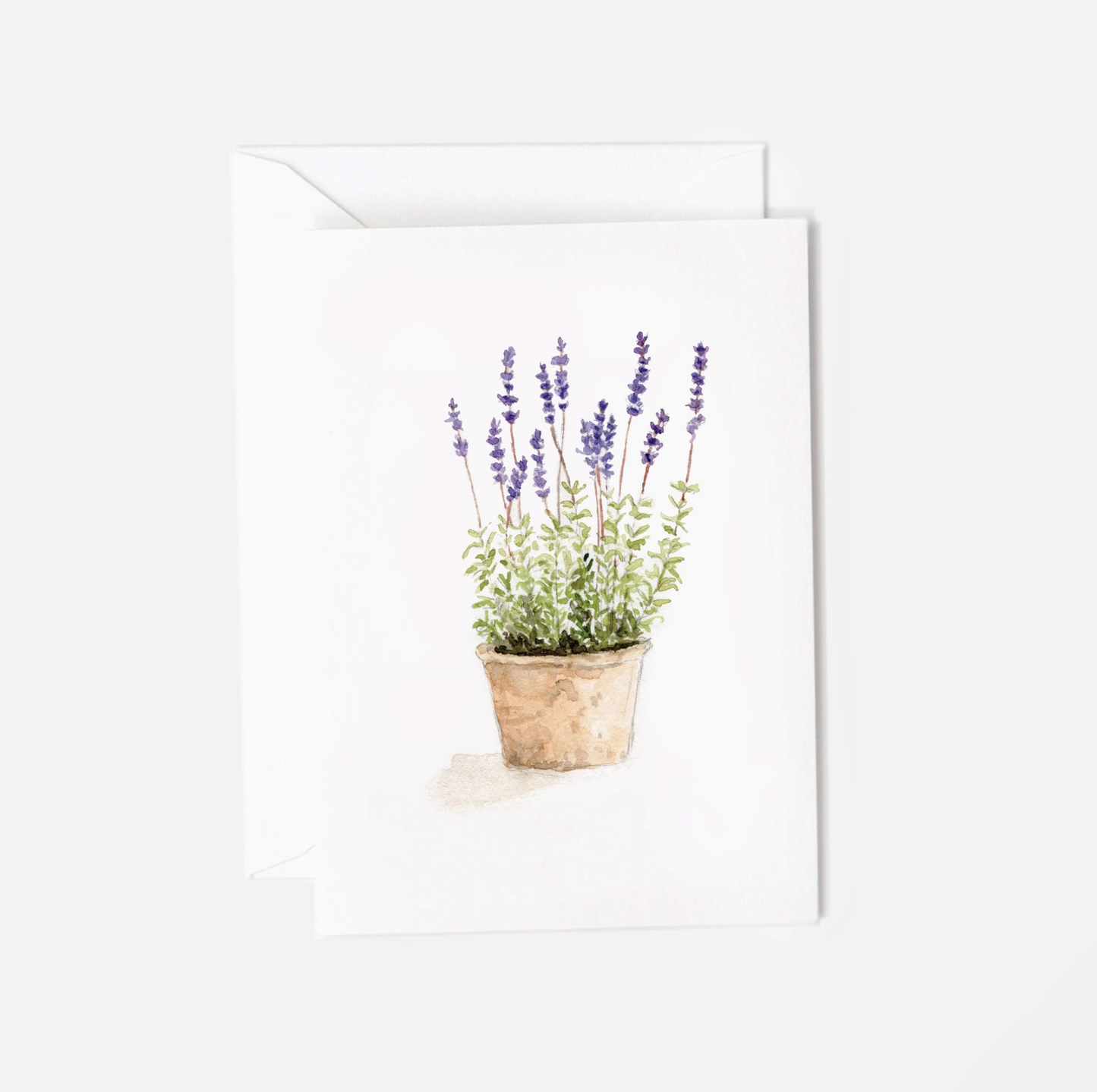 Mini Garden Notecard (by Emily Lex)