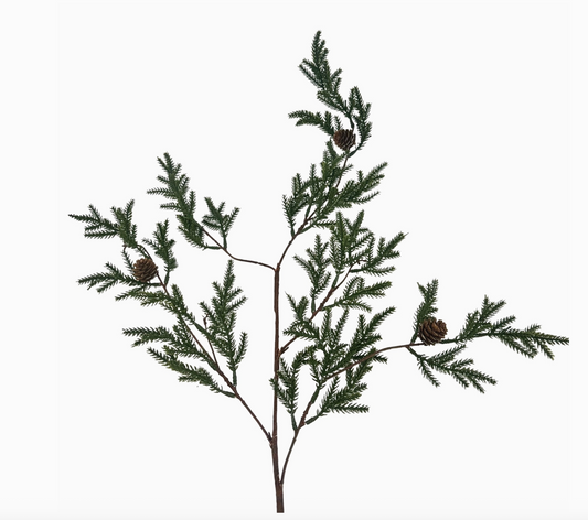 Highland Spruce Pine Branch with Pinecones