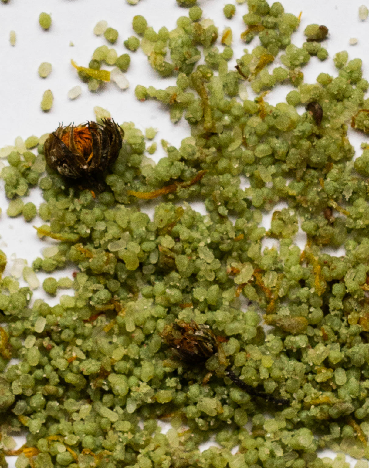 Calendula & Clay Bath Salt Soak