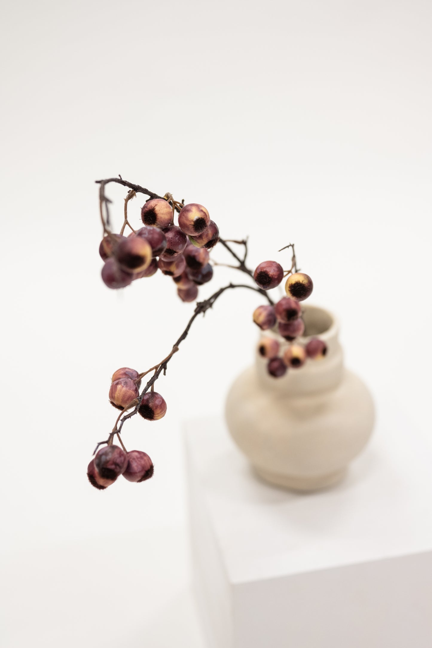 Small beige vase with a branch of berries on a white surface