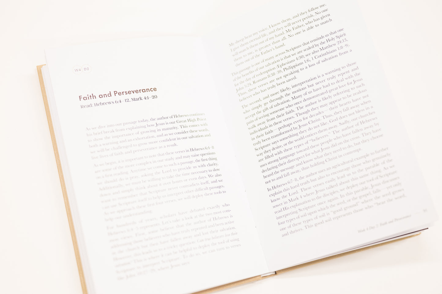 jesus is better devotional on hebrews