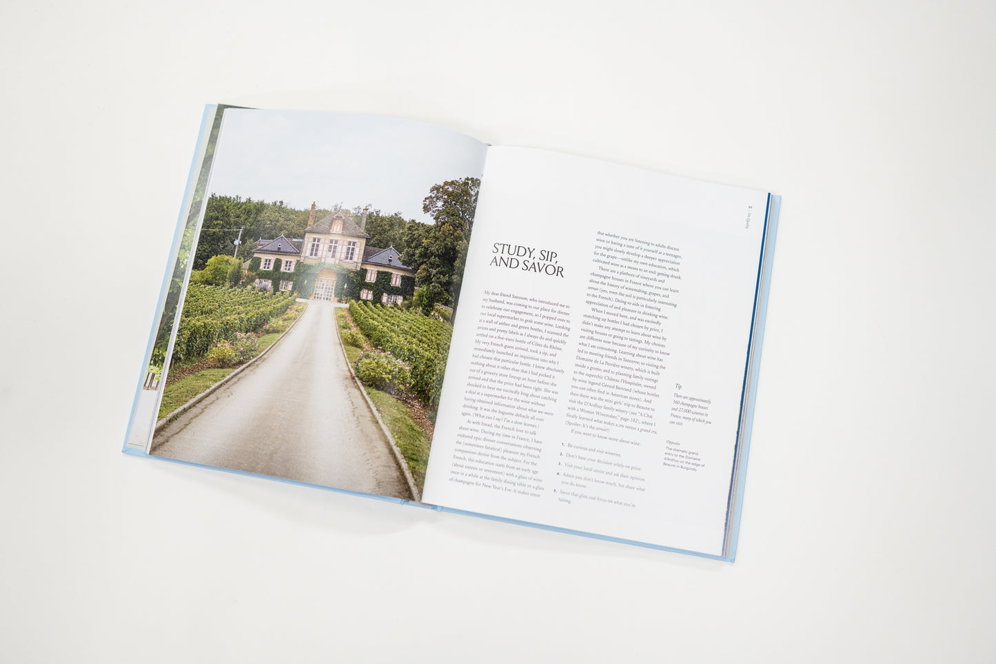 Joie (A Coffee Table Book)