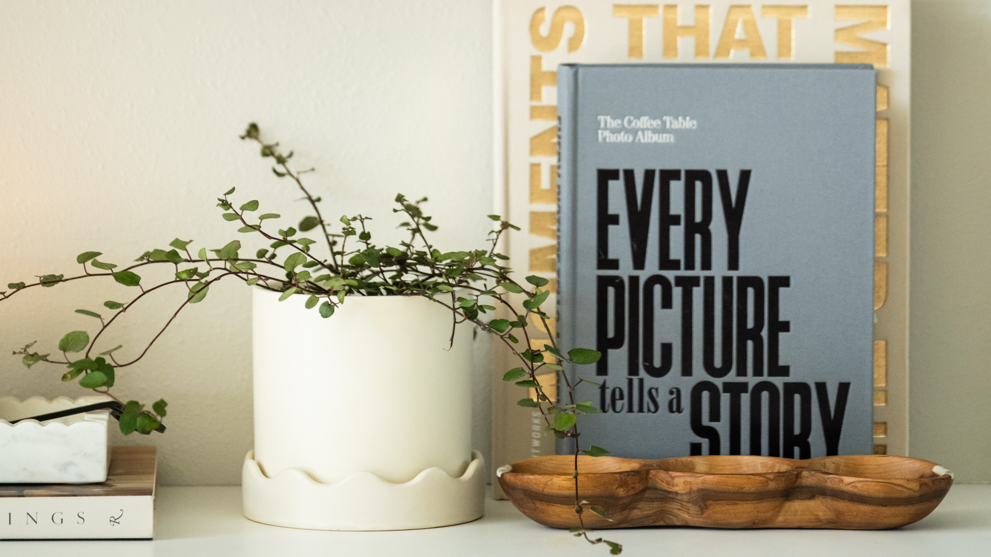 Bookshelf Styling Collection