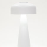 White LED Lamp - Portable & Rechargeable