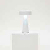 White LED Lamp - Portable & Rechargeable
