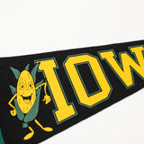 Iowa Pennant: Vintage Style Wall Pennant