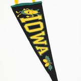 Iowa Pennant: Vintage Style Wall Pennant