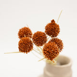 Orange Globe Floral