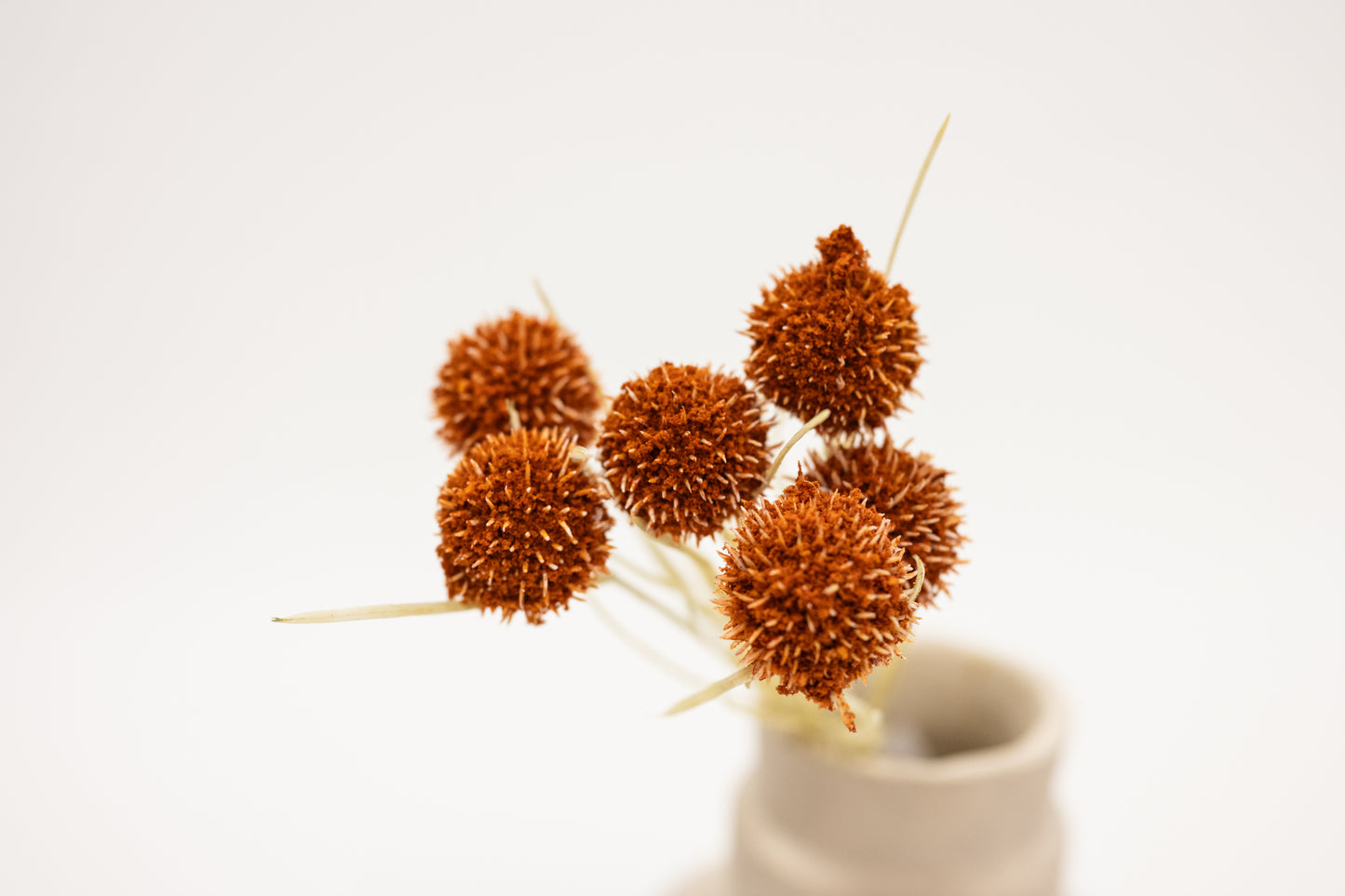 Orange Globe Floral