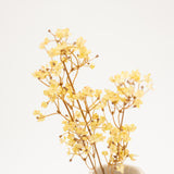 Papery Cream Faux Floral Stem
