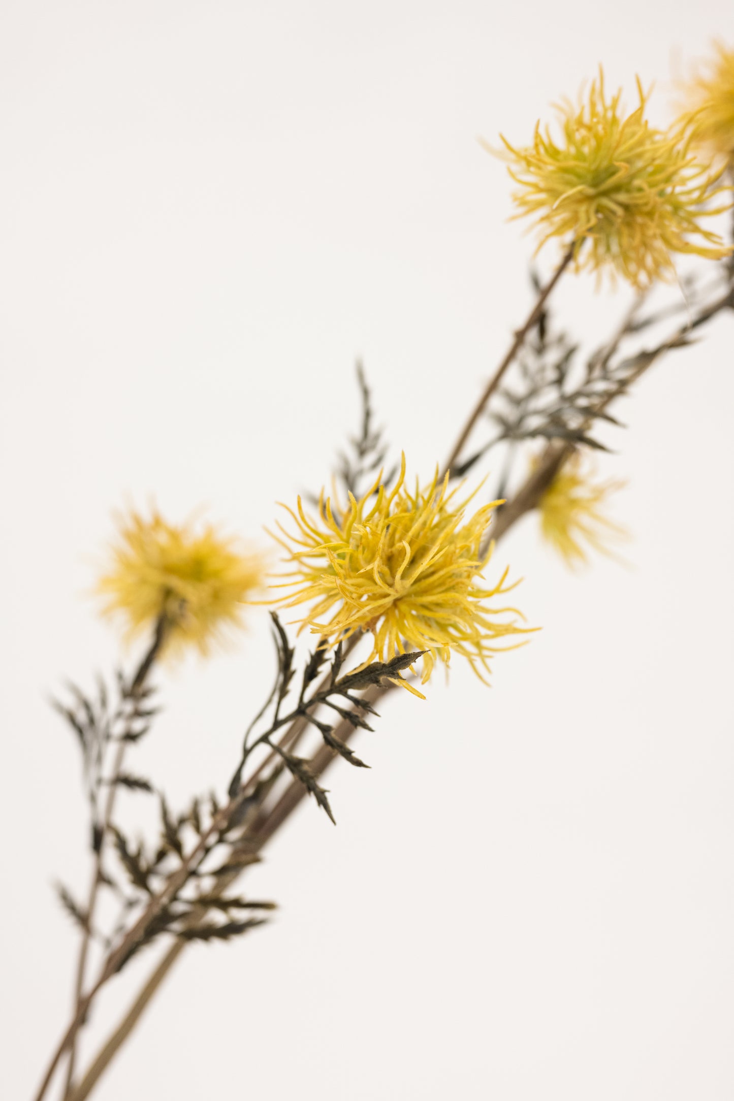 Yellow Floral Spray