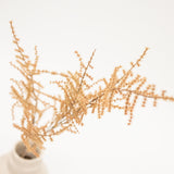 Desert Brown Asparagus Fern Faux Stem