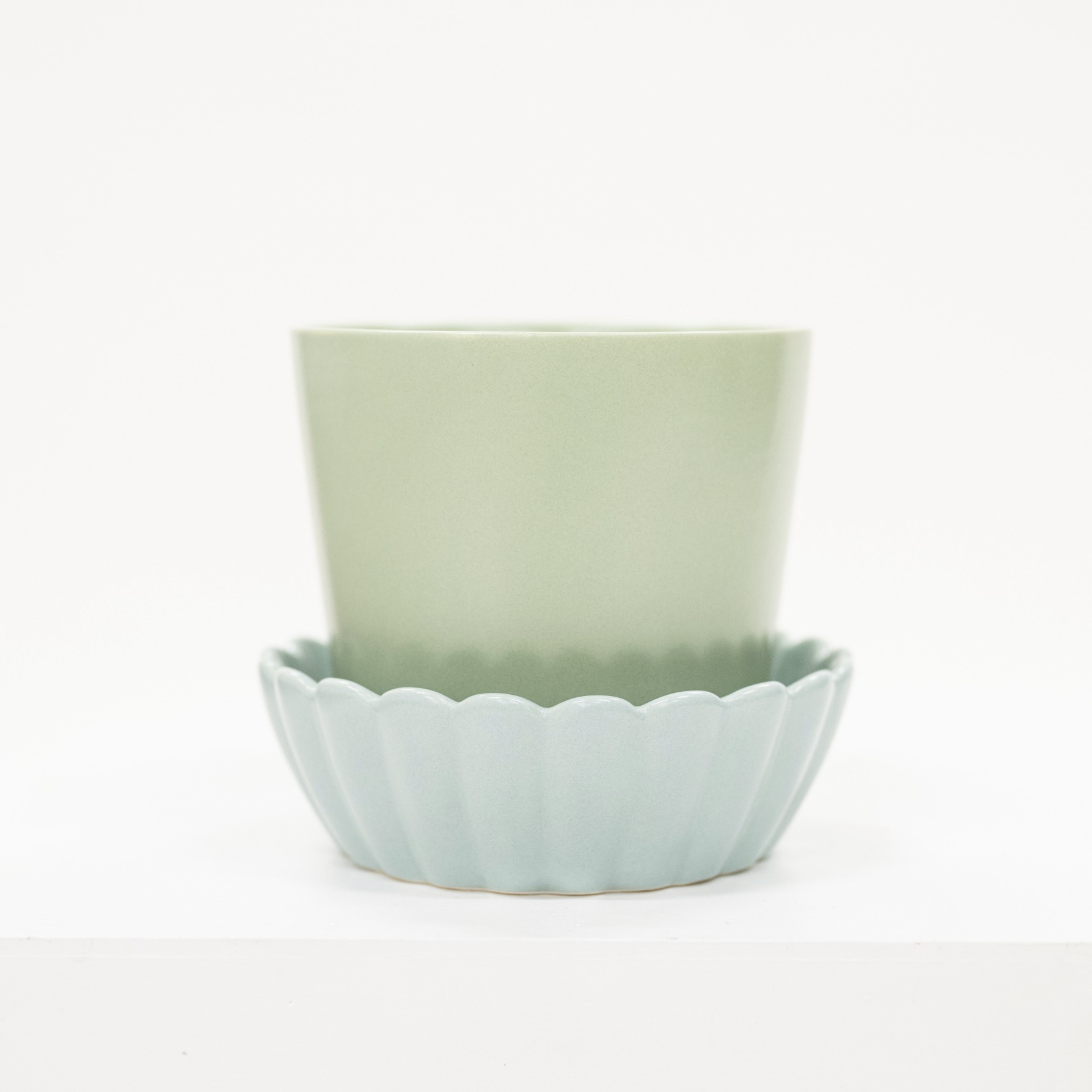 two toned green planter with scalloped saucer