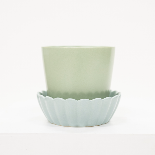 two toned green planter with scalloped saucer