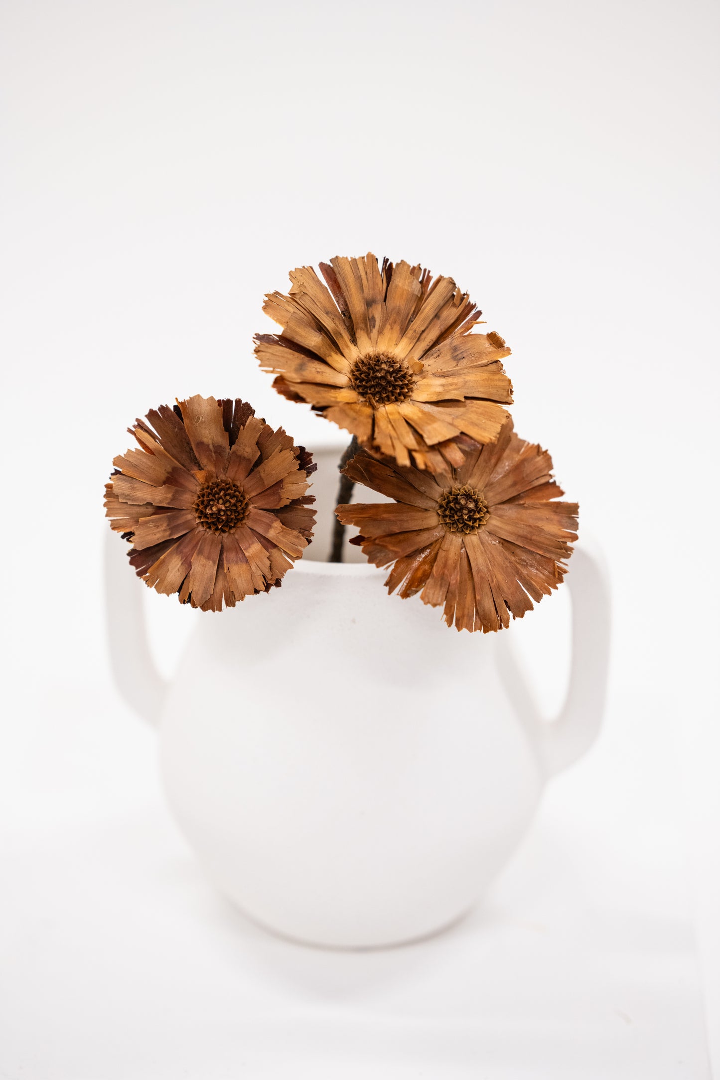 Dried Protea Rosettes