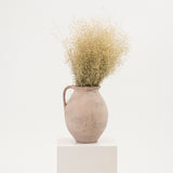 Dried Rice Grass
