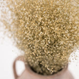 Dried Rice Grass