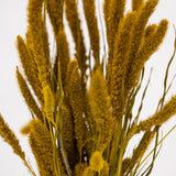 Mustard Yellow Setarea