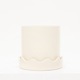 white ceramic plant with scalloped shaped saucer