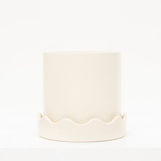 white ceramic plant with scalloped shaped saucer