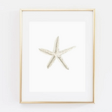 Starfish Watercolor Art Print (By Emily Lex)