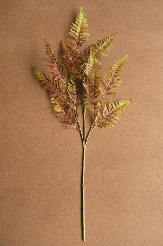 Autumn Fern Stem
