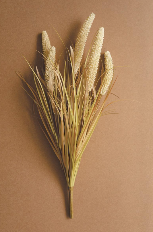 Artifical Grass Stem Bundle - Cream
