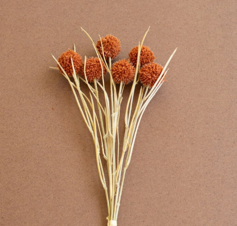 Orange Globe Floral