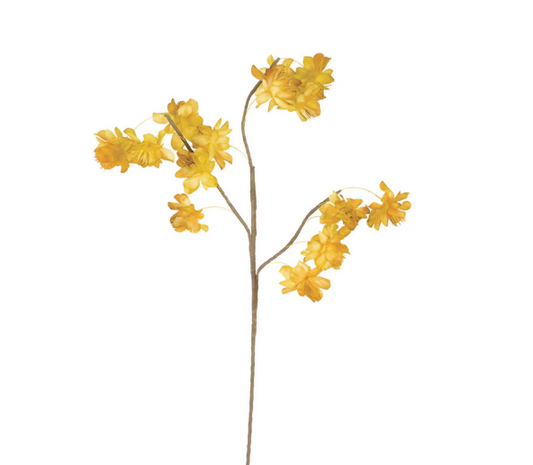 Yellow Papery Floral Stem
