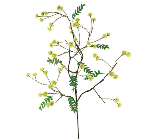 Yellow Globe Bud Twig