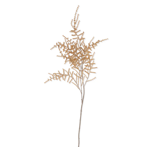Desert Brown Asparagus Fern Faux Stem