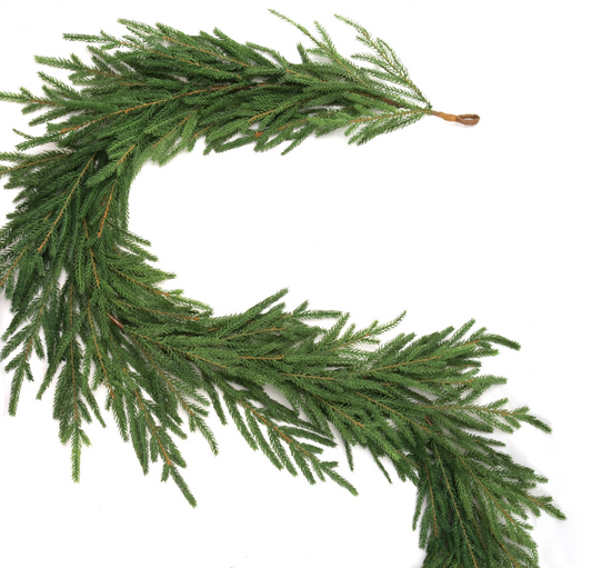 Frasier Fir 6' Garland: Real Touch Greenery