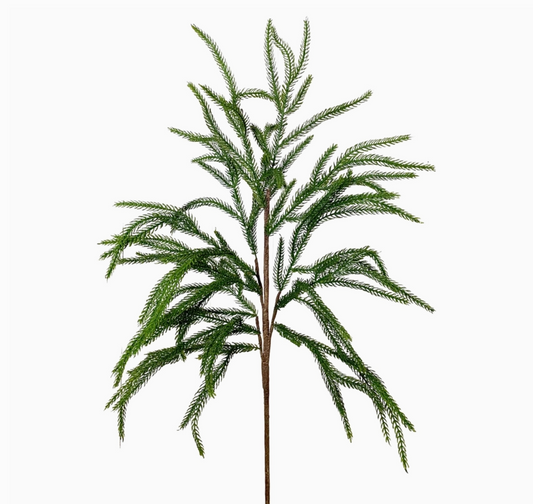 Norfolk Pine Stem: Real Touch Feel