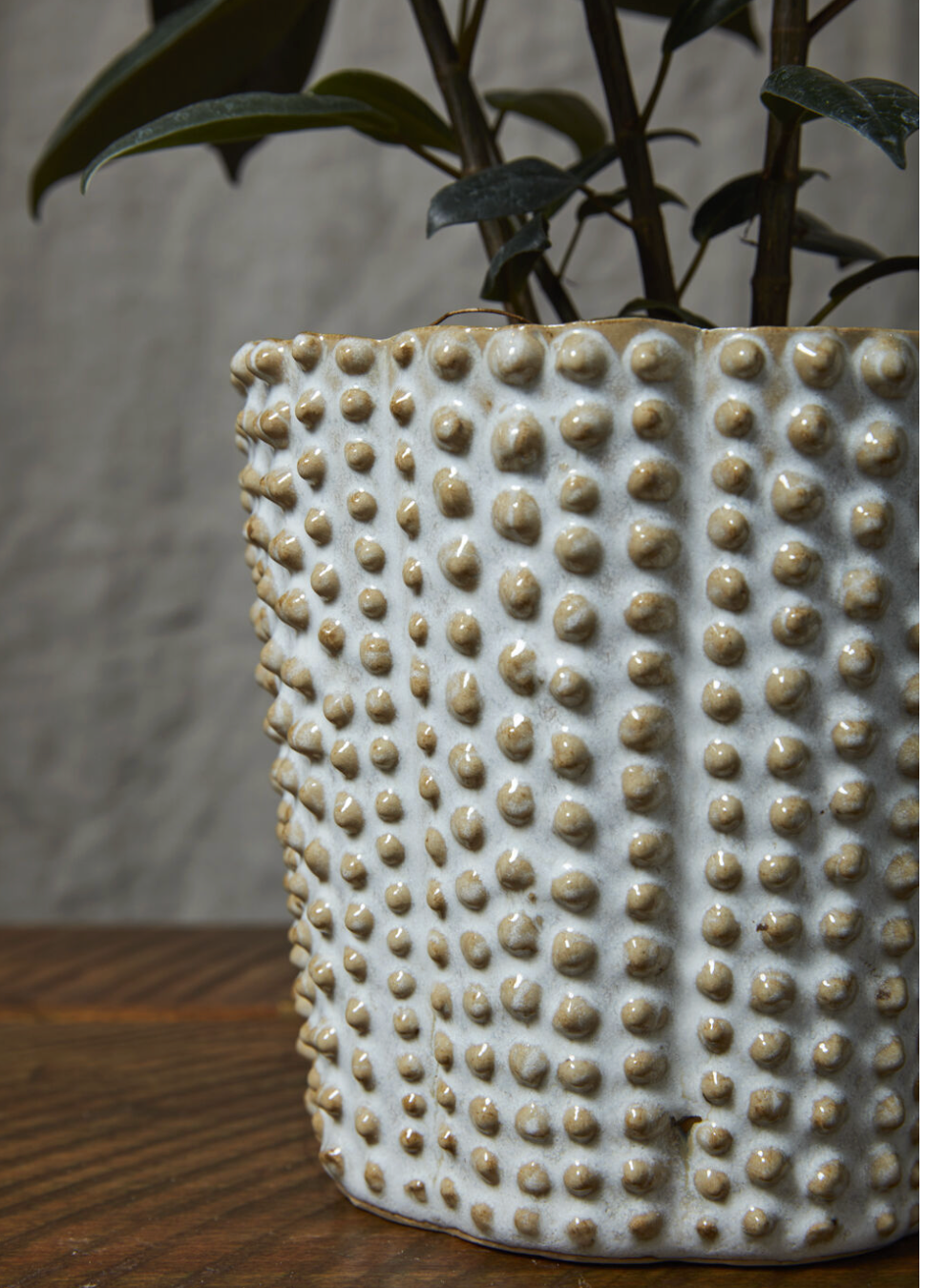 Vintage Spotted Flower Pot