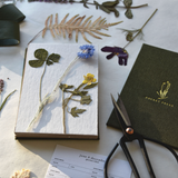 Pressed flowers in a notebook with scissors and a brand name on a white surface