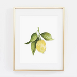 Lemon Watercolor Art Print (By Emily Lex)