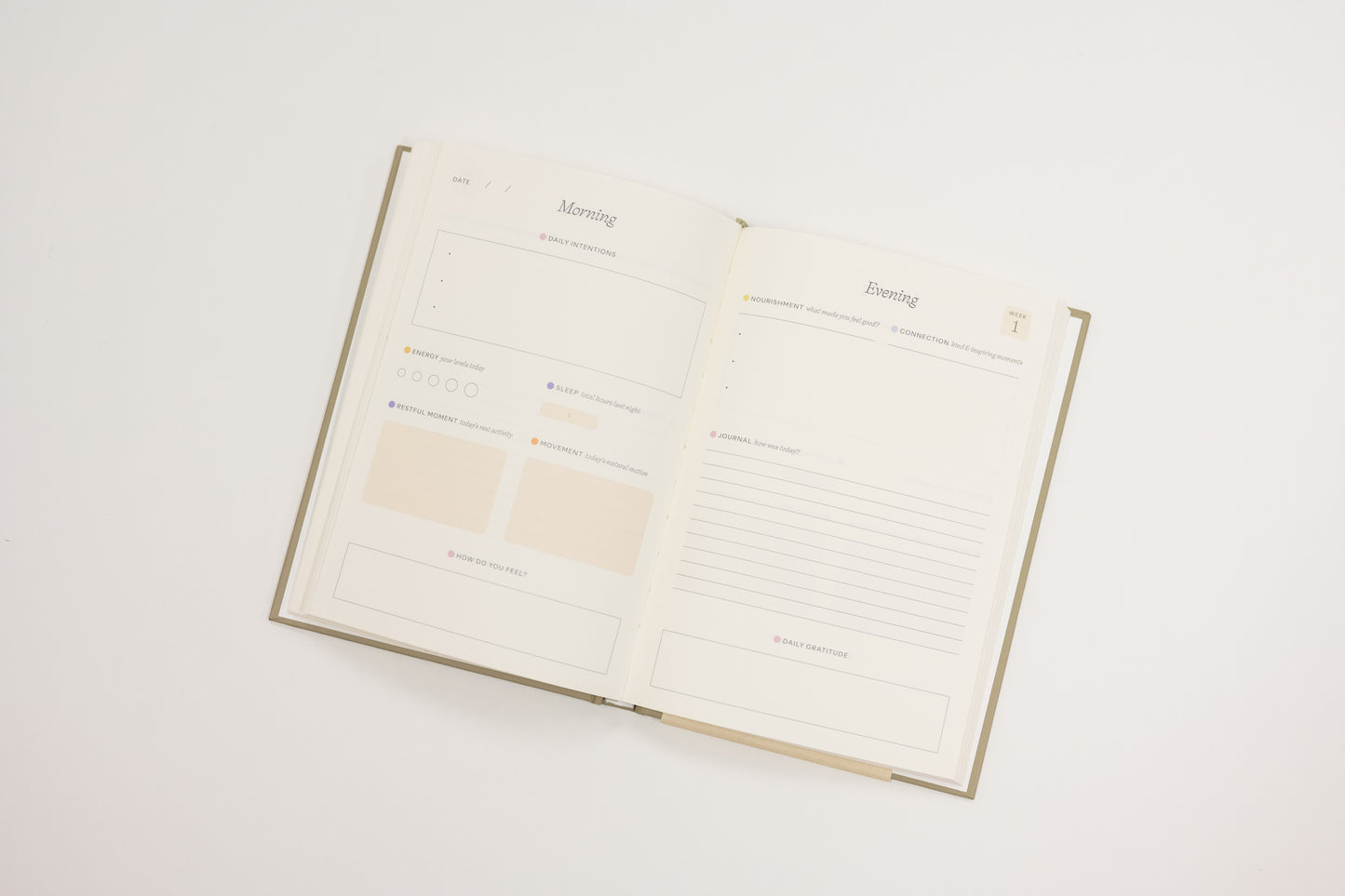 Open notebook with lined pages on a white background