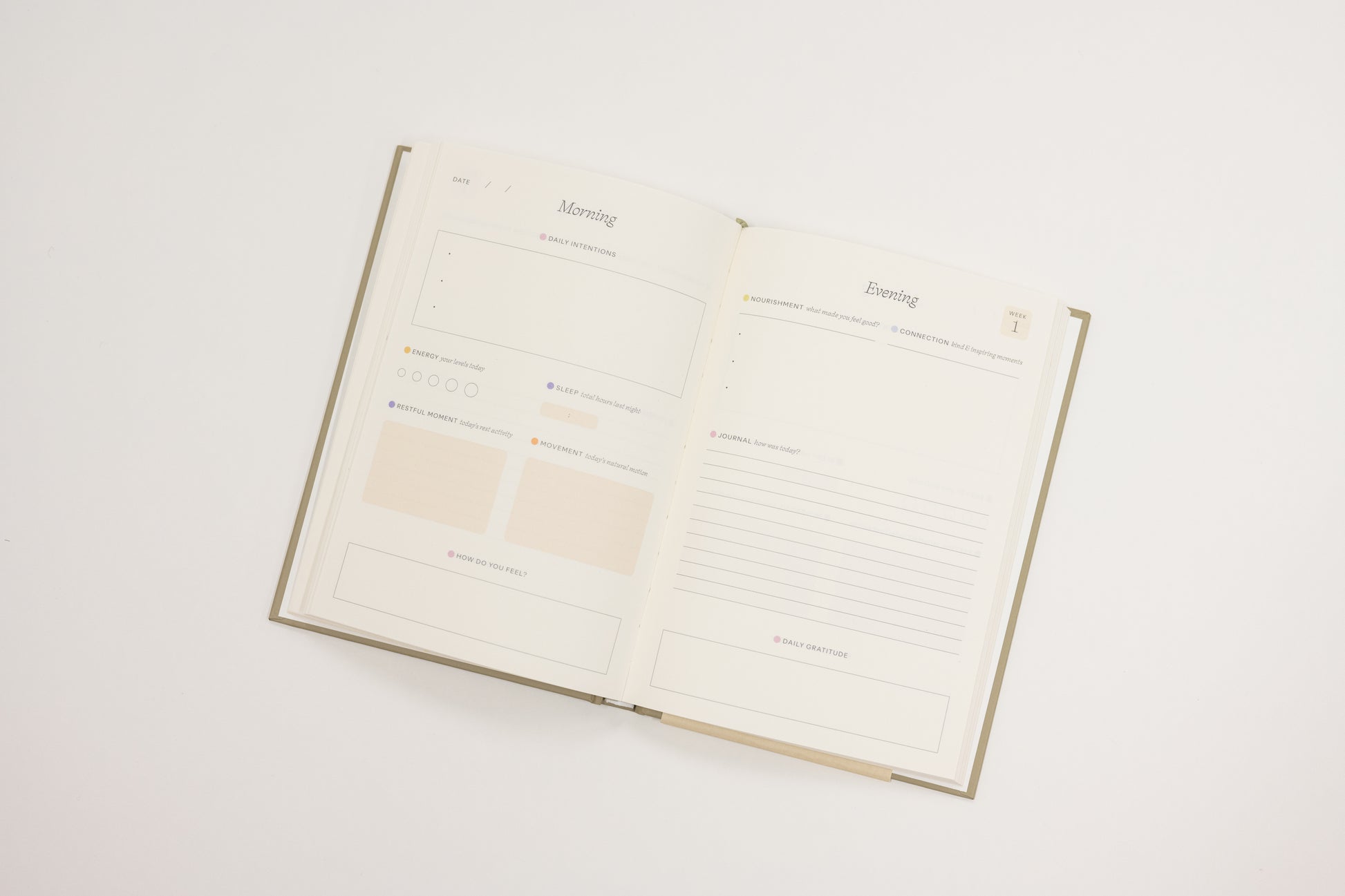 Open notebook with lined pages on a white background