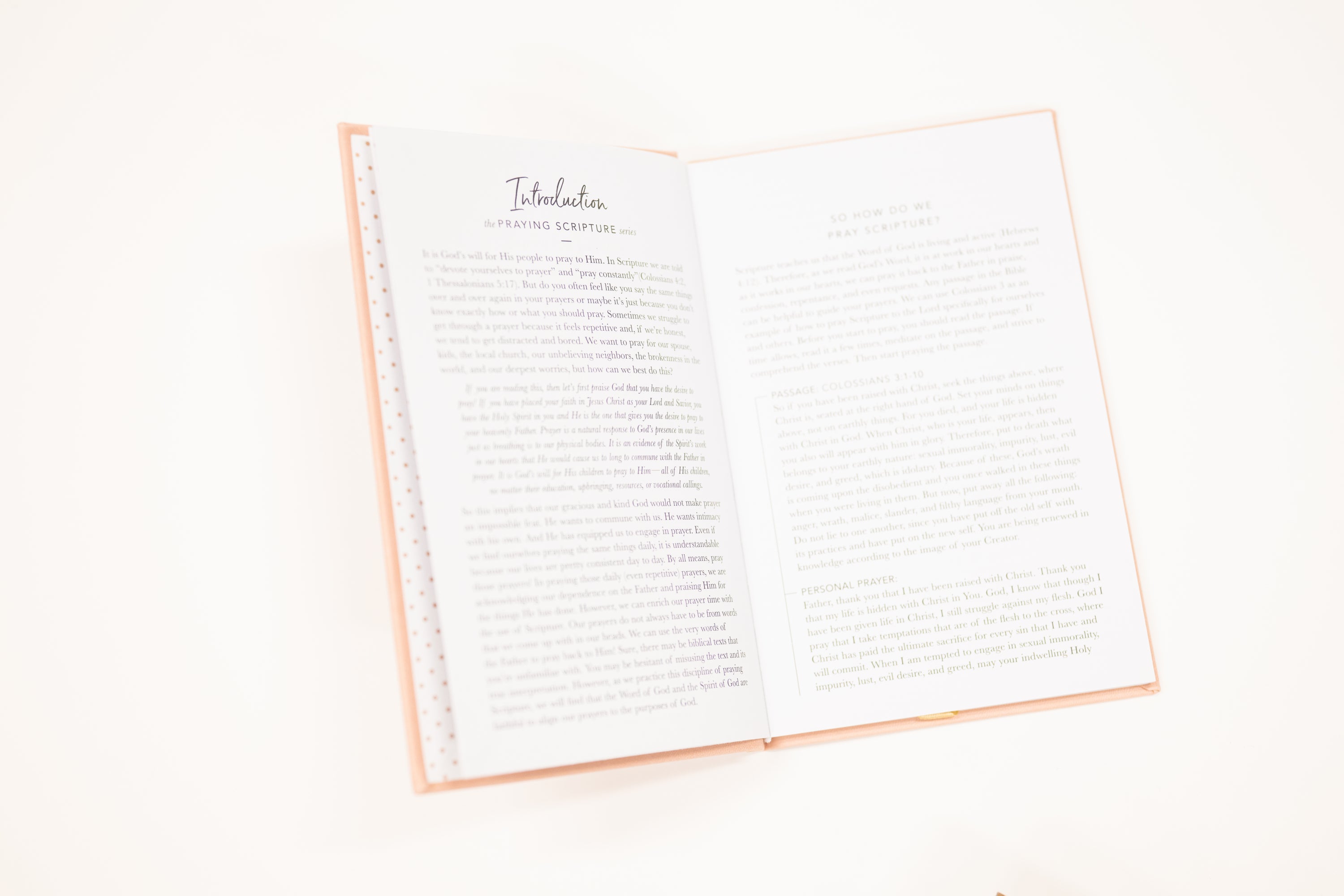 all things new linen pink covered devotional