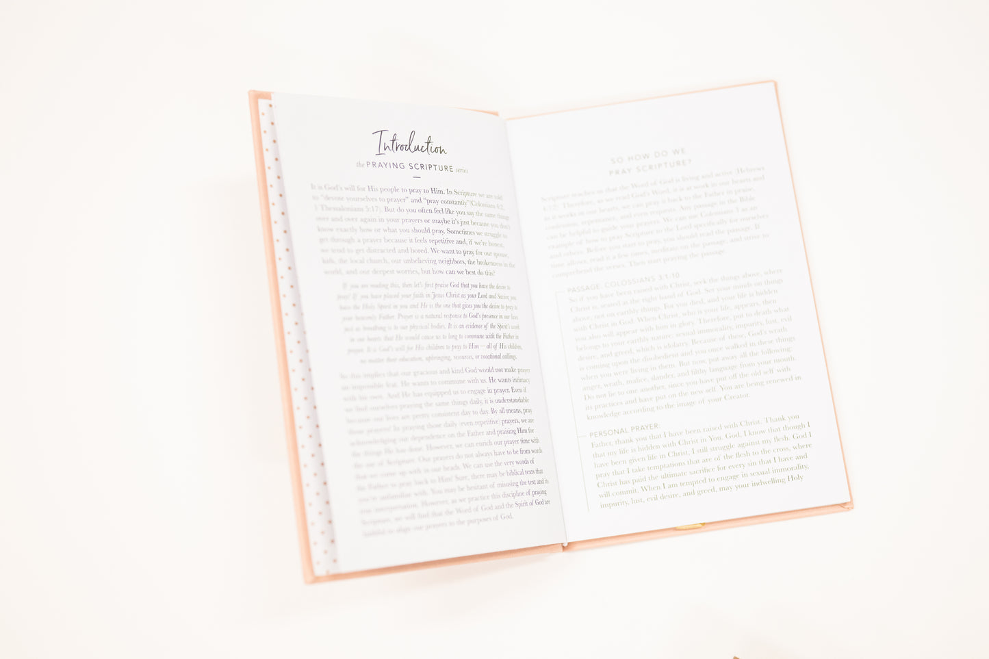 all things new linen pink covered devotional