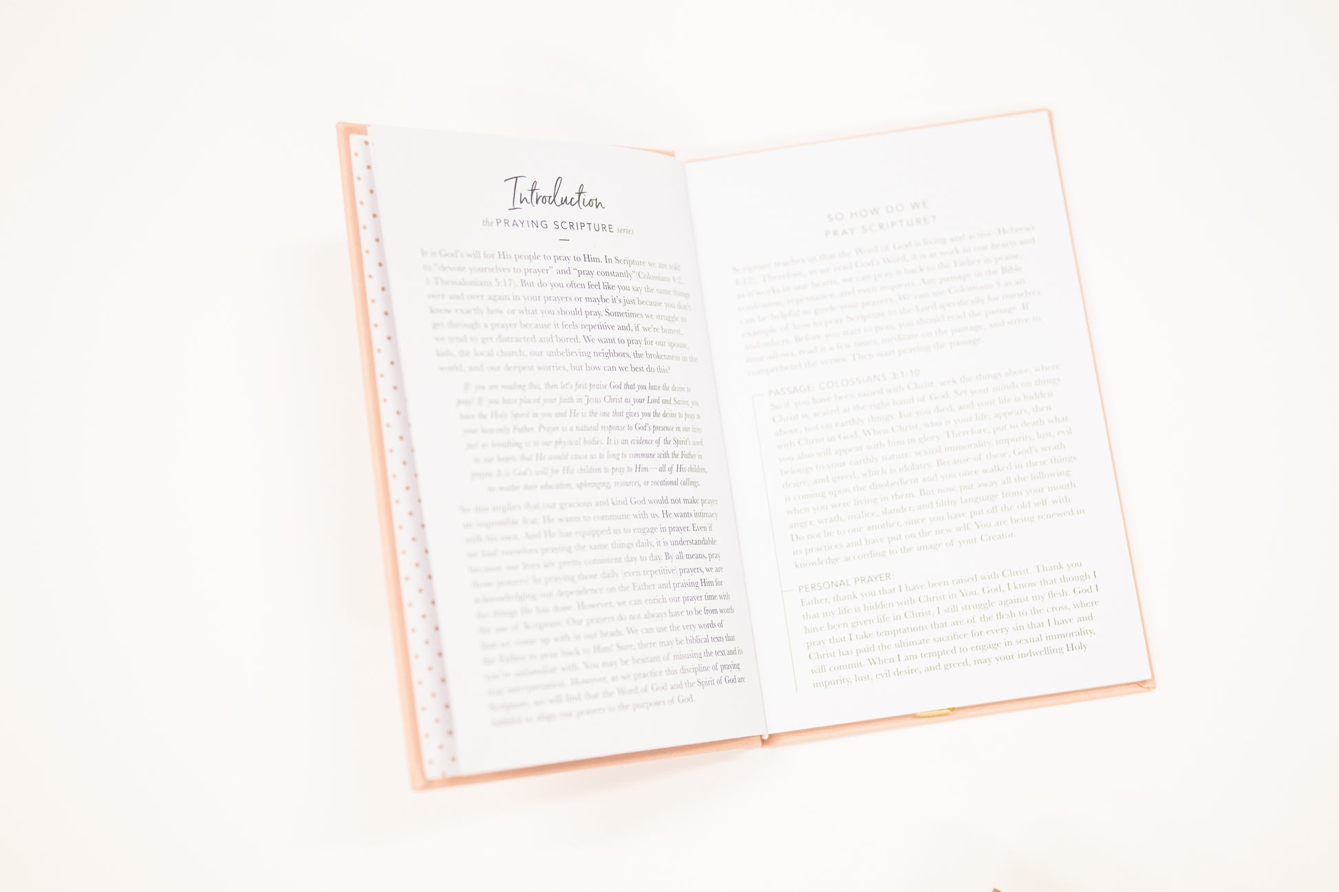 all things new linen pink covered devotional