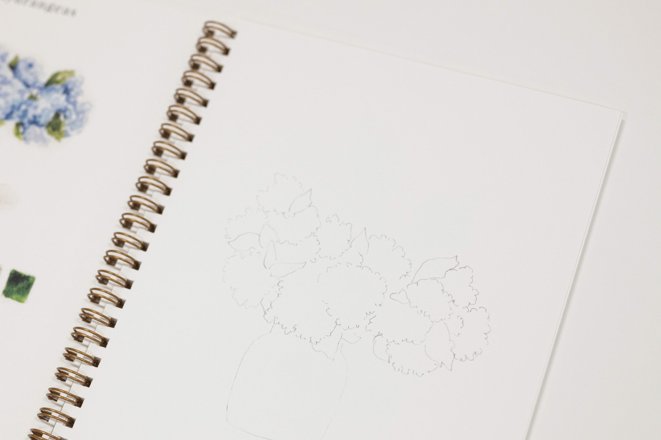 A close-up of an open spiral-bound sketchbook with a faint pencil drawing of flowers on the page, photographed on a clean white surface.